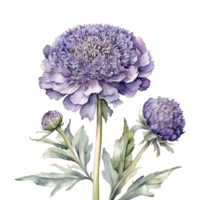 waterverf boeket bloem, waterverf boeket bloem ontwerp png