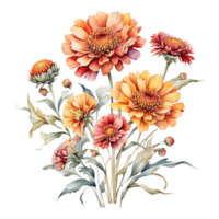 Watercolor Flower Bouquet, Beautiful Flower Design png