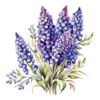 vattenfärg blomma bukett, skön blomma design png