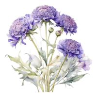 aquarelle bouquet fleur, aquarelle bouquet fleur conception png