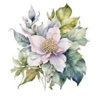 Watercolor flower Bouquet, Watercolor flower Design png