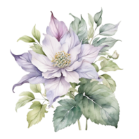 Watercolor flower Bouquet, Watercolor flower Design png