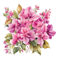 aquarelle fleur bouquet, magnifique fleur conception png