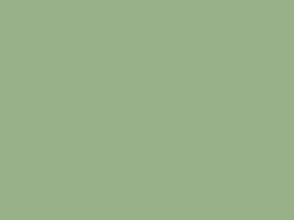 Plain green Sage color, a shade of grey and green color. empty or blank space for background, design graphic or text. illustration background vector