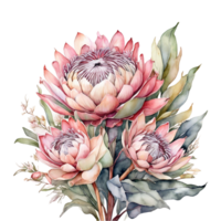 waterverf boeket bloem, waterverf boeket bloem ontwerp png