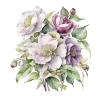 vattenfärg bukett blomma, vattenfärg bukett blomma design, runda bruka design png