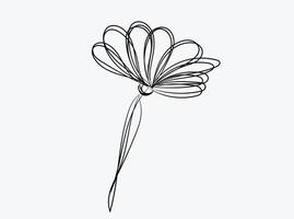 Collection wild flower vector