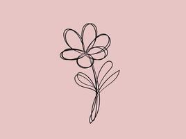 Collection wild flower vector