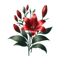 Lily flower isolated on transparent background png