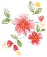 pintura em aquarela de flores png