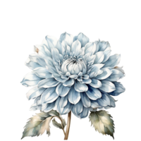 Watercolor Flower Bouquet png