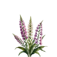 aquarell blumenstrauß png