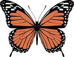 mariposa silueta soltero vector