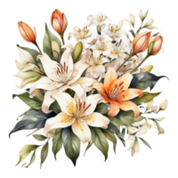 Watercolor Flower Bouquet png