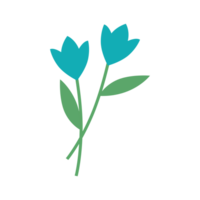 Frühling Blume, eben Symbol Grafik. Pflanze Natur, Kamille unterzeichnen. png