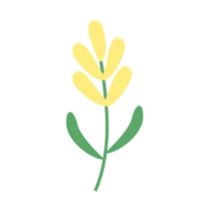 primavera flor, plano icono. planta naturaleza, manzanilla signo. png