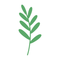 Spring leaf, Flat Icon. Plant nature leaf, chamomile sign. png