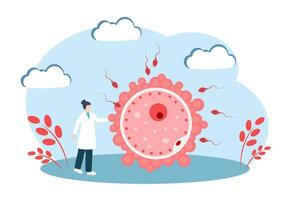 Sperm and egg. The concept of fertilization. Human reproductive system vector