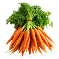 Bunch of Orange Carrots on Transparent Background, Carrot vegetable with leaves isolated png