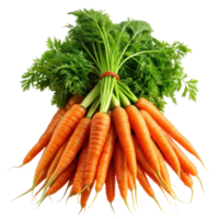 Bunch of Orange Carrots on Transparent Background, Carrot vegetable with leaves isolated png