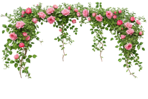 Tropical liana branches, flower and tropical leaves on transparent background, tropical vine hanging ivy plant png