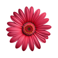 rouge cosmos fleur isolé sur transparent Contexte png