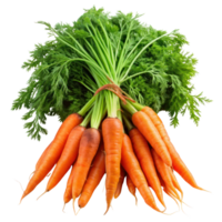 Bunch of Orange Carrots on Transparent Background, Carrot vegetable with leaves isolated png