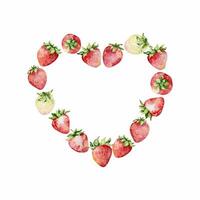 Watercolor strawberries heart wreath, red berries vector