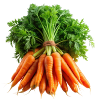 Bunch of Orange Carrots on Transparent Background, Carrot vegetable with leaves isolated png