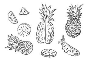 Doodle tropical summer pineapple drawings in hand drawn style. Monochrome contour sketchy illustration of pieces of sweet fruit on white background. Ideal for coloring pages, tattoo, pattern vector