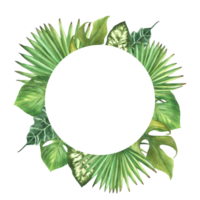 tropical vert feuilles couronne, exotique Accueil usine, monstera palmier, léche-botte. variété de feuille les types cercle Cadre. botanique jungle clipart. aquarelle main tiré illustration Contexte. png