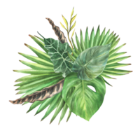 Strauß von tropisch Grün Blätter, exotisch Zuhause Anlage, Monstera Palme, Schlingpflanze. Vielfalt von Blatt Typen. botanisch Komposition, Urwald Clip Art Aquarell Hand gezeichnet Illustration Hintergrund. png