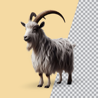 3d realistic Horn Goat on transparent background, best 3d render goat for Eid ul adha islamic festival psd