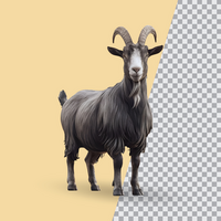 3d realistic Horn Goat on transparent background, best 3d render goat for Eid ul adha islamic festival psd