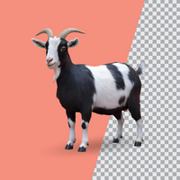 3d realistic Horn Goat on transparent background, best 3d render goat for Eid ul adha islamic festival psd