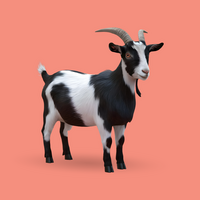 3d realistic Horn Goat on transparent background, best 3d render goat for Eid ul adha islamic festival psd