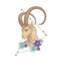 Illustration of Capricorn vector