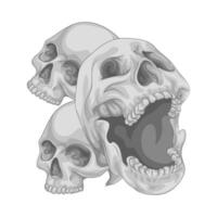 ilustración del cráneo vector