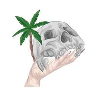 Illustration of skull vector