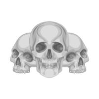 Illustration of skull vector