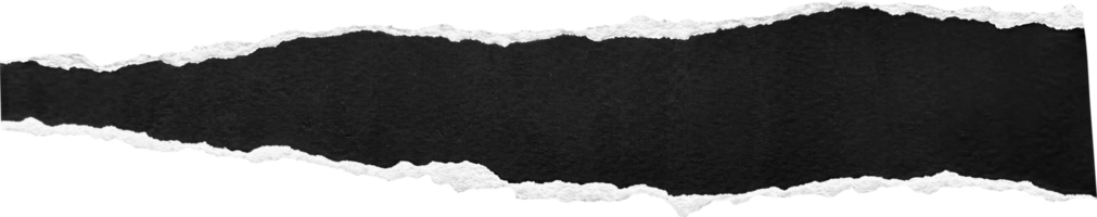 noir et blanc déchiré papier bande png