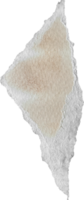 Rasgado antiguo papel pedazo png