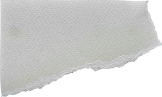 Rasgado antiguo papel pedazo png