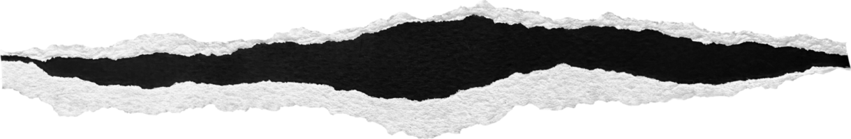 noir et blanc déchiré papier bande png