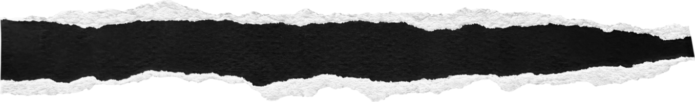 negro y blanco Rasgado papel tira png