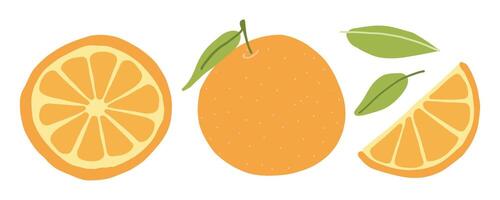 Cartoon cute illustration of whole and sliced oranges with leaves isolated on white background. vector