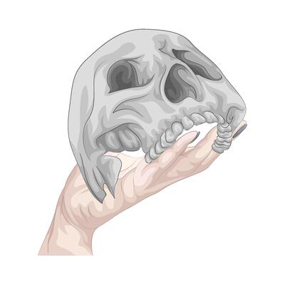Illustration of skull