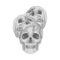 Illustration of skull vector