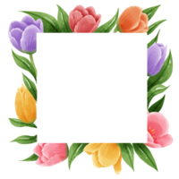 hand getekend illustratie waterverf kleurrijk tulpen kaders kransen arrangement voorjaar bloemen clip art groet kaart bruids douche bruiloft uitnodiging botanisch schilderij png