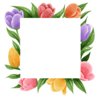 ritad för hand illustration vattenfärg färgrik tulpaner ramar kransar arrangemang vår blommig ClipArt hälsning kort brud- dusch bröllop inbjudan botanisk målning png